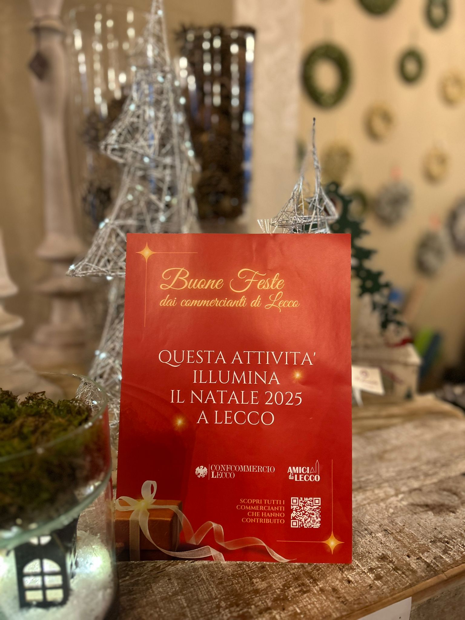 RAFFAELLA FIORISTA – CAIROLI